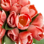 Pure Garden Soft Coral Tulip Floral Arrangement with Glass Vase and Faux Water thumbnail 3