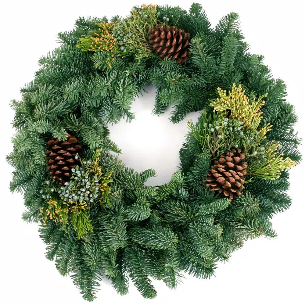 VAN ZYVERDEN 20 in. Live Fresh Cut Pacific Northwest Mixed Christmas Wreath with Pine Cones