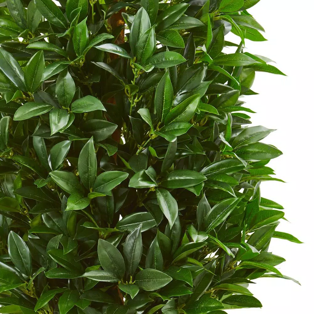 Nearly Natural 63-In. Bay Leaf Cone Topiary Artificial Tree with Polished White Planter