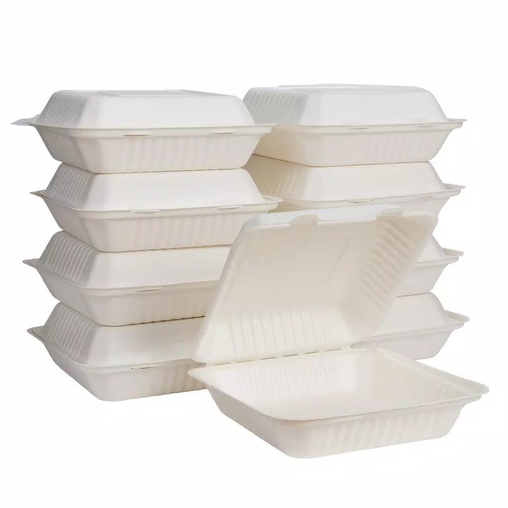 Unbranded 8 in. White Sugarcane Clamshell Containers, Compostable & Eco-Friendly (300 Pack)