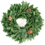 VAN ZYVERDEN 16 in. Live Fresh Cut Pacific Northwest Noble Fir Christmas Wreath with Pine Cones thumbnail 1