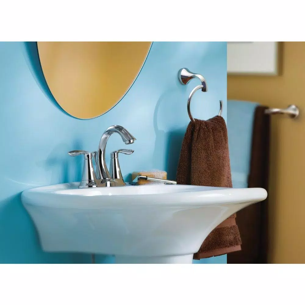 Moen Eva 24 in. Chrome Towel Bar