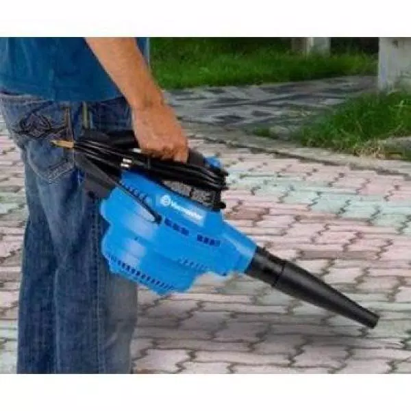 Vacmaster 12-Gallon Wet/Dry Vacuum with Detachable Blower, 5 HP Peak, 2-1/2 in. Hose