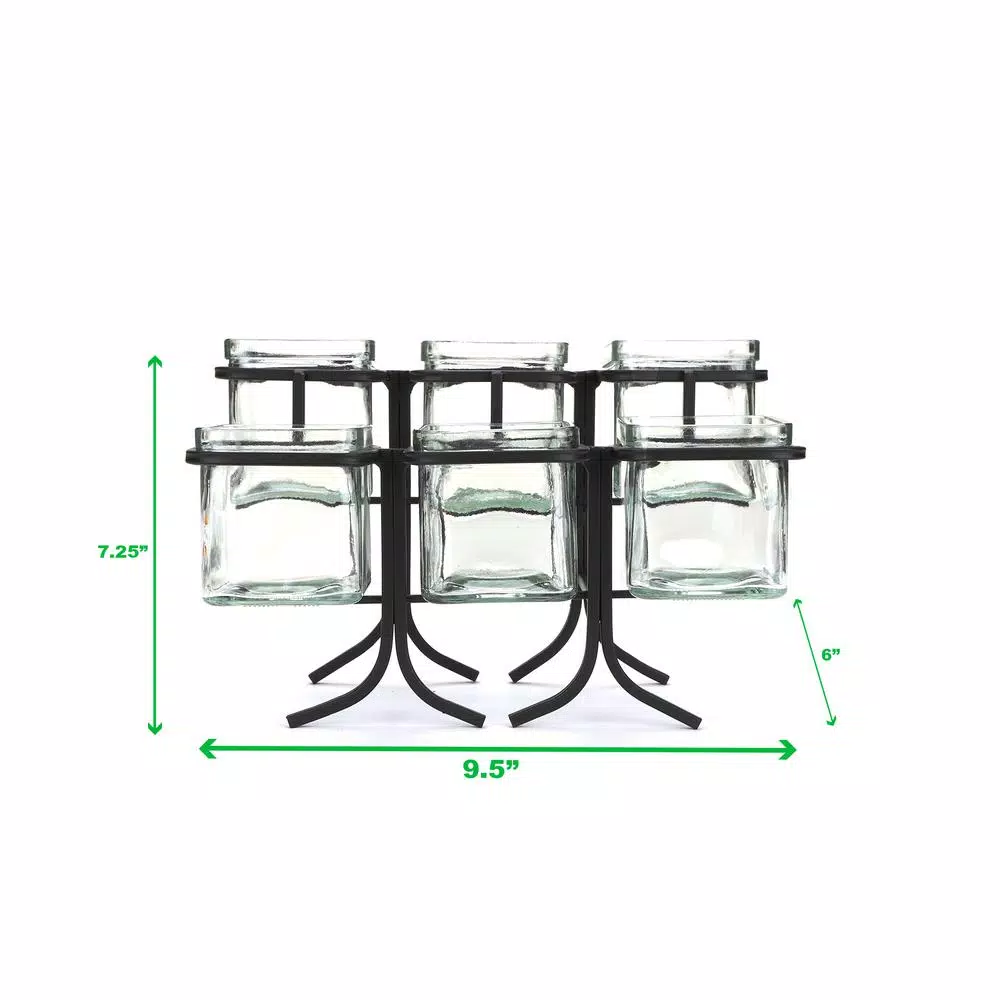 Mind Reader 6-Compartment Black Metal Condiment Server with 6 Removable 8 oz Glass Jars