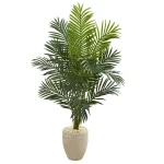 Nearly Natural 5.5 ft. Paradise Artificial Palm Tree with Sand Colored Planter and White River Rocks thumbnail 1