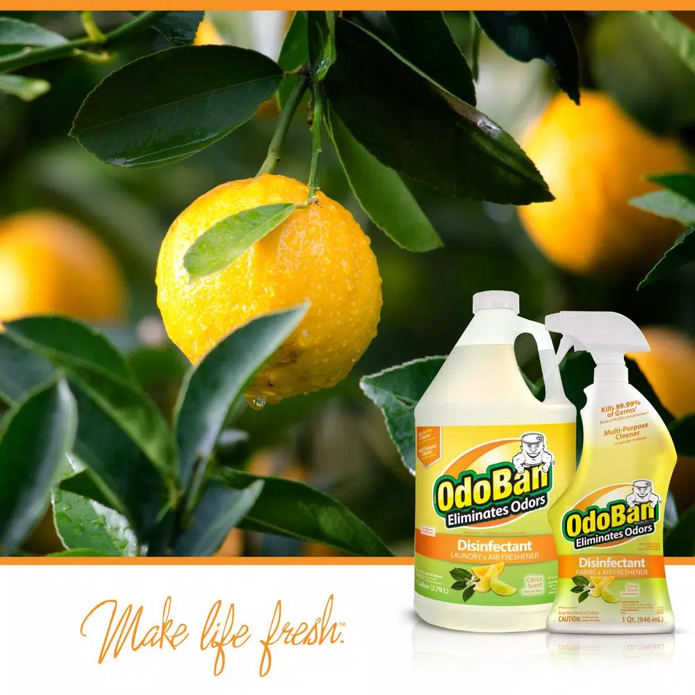 OdoBan Citrus Multi-Purpose Disinfectant Concentrate, 1 Gallon