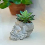 Flora Bunda 5 in. Halloween Sugar Skull Artificial Succulent Planter in Gray Cement thumbnail 3