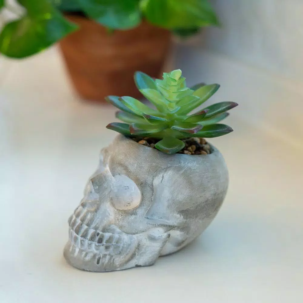 Flora Bunda 5 in. Halloween Sugar Skull Artificial Succulent Planter in Gray Cement