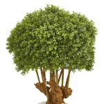 Nearly Natural 41 in. Artificial Boxwood Topiary Tree in Sandstone Planter with Natural Stones thumbnail 2