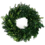 VAN ZYVERDEN 22 in. Live Fresh Cut Blue Ridge Mountain Boxwood Christmas Wreath thumbnail 1