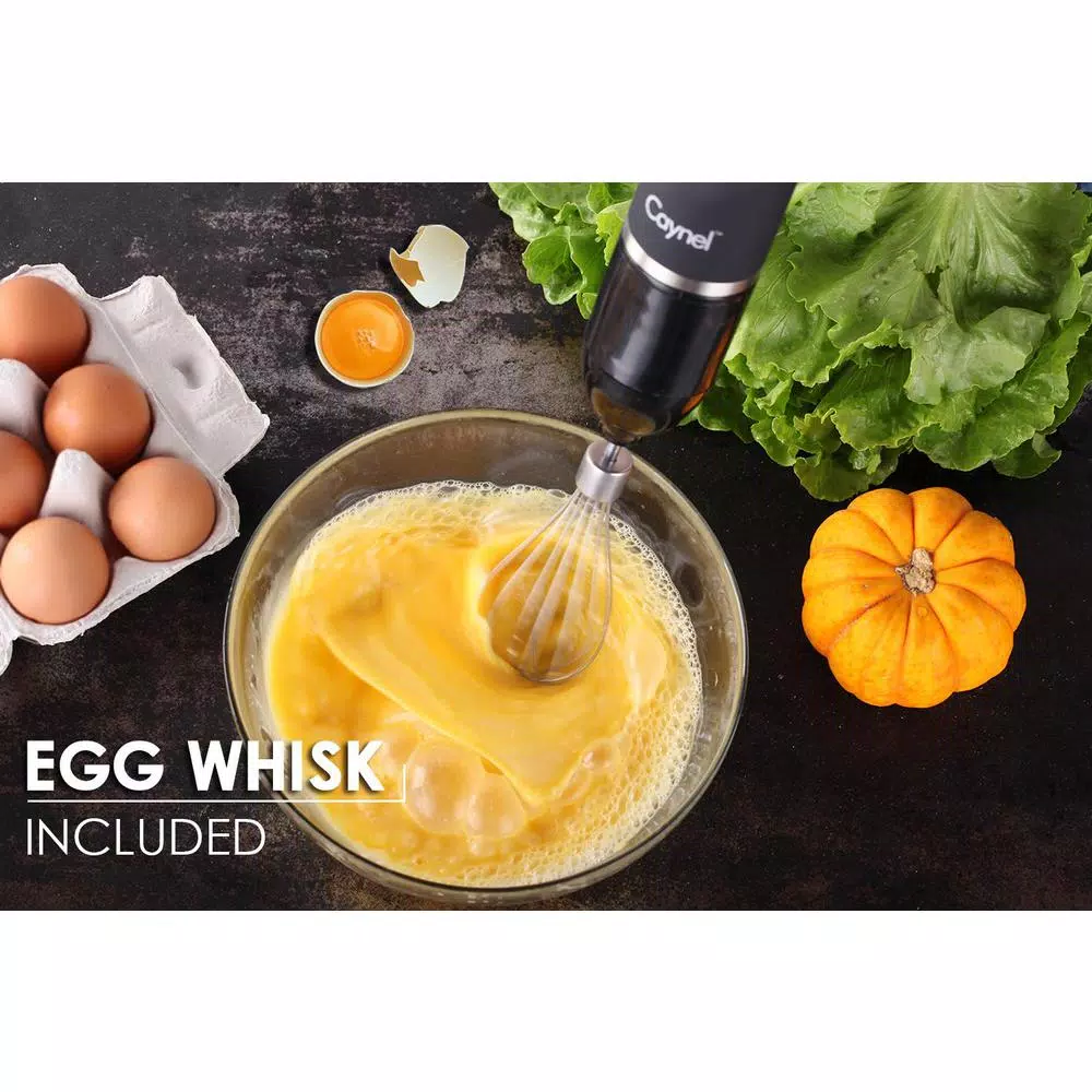 Boyel Living 6-in-1 Black Stainless Steel 500W Immersion Hand Blender Set with 8-Speed Control