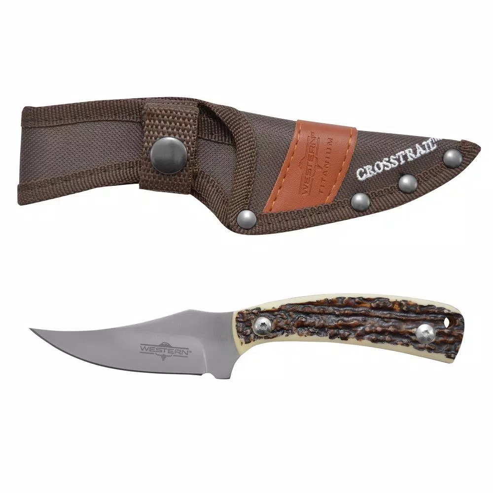 Western Crosstrail 7 in. Fixed Blade Knife, Titanium Bonded 420 Stainless Steel, Stag Handle with Sheath