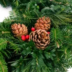 VAN ZYVERDEN 24 in. Live Fresh Cut Blue Ridge Mountain Mixed Christmas Wreath with Cones and Berries thumbnail 2
