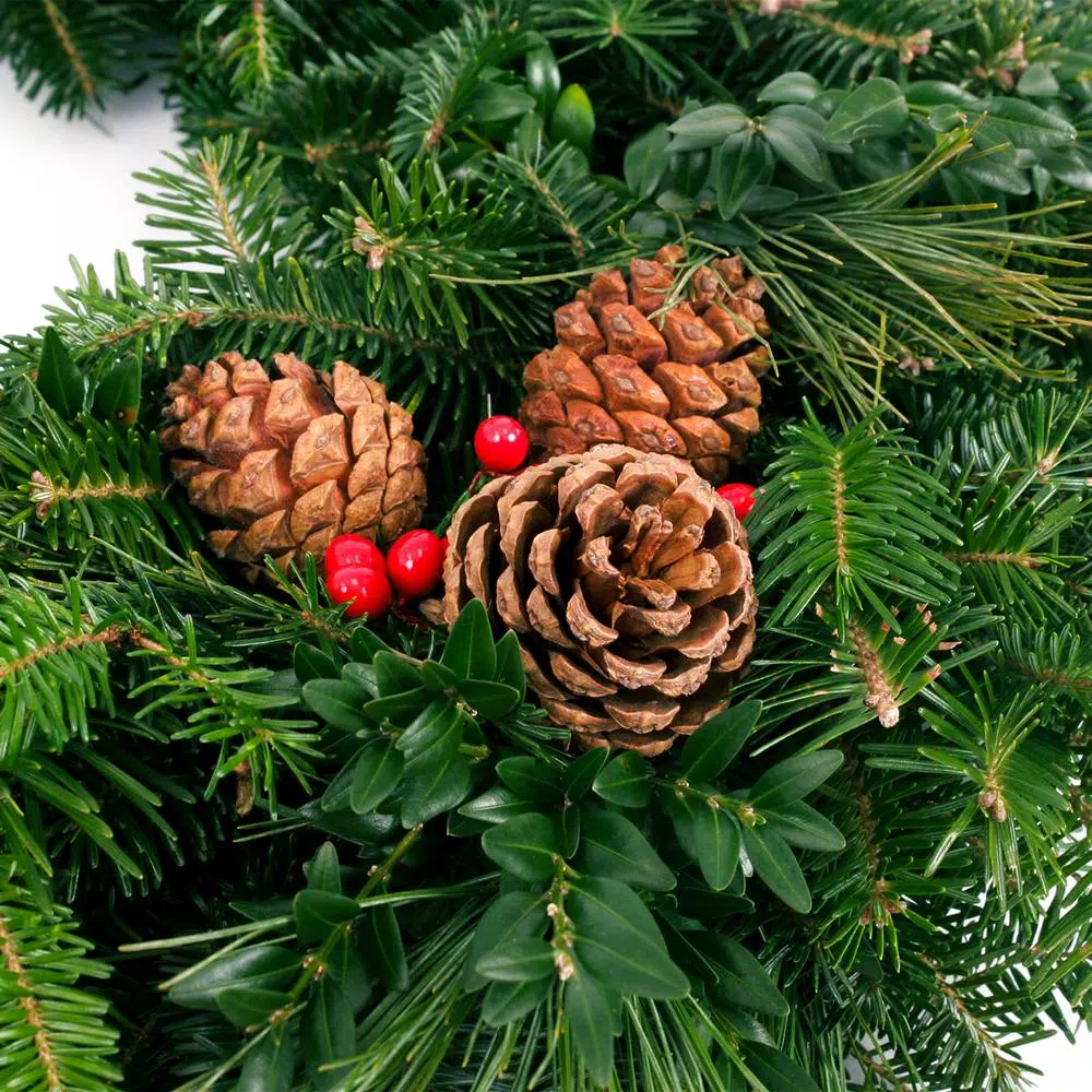 VAN ZYVERDEN 24 in. Live Fresh Cut Blue Ridge Mountain Mixed Christmas Wreath with Cones and Berries