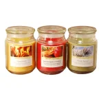 LUMABASE Holiday Scented Candle Collection - 3 Pack 18 oz. Glass Apothecary Jars thumbnail 1