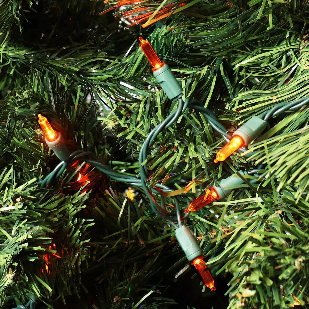 Sunnydaze Decor 23 ft. Orange M6 Smooth LED String Lights, 70-Count, Indoor/Outdoor
