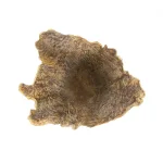 Zentique Small Wooden Tree Trunk Style Resin Sculpture in Distressed Brown Finish thumbnail 4