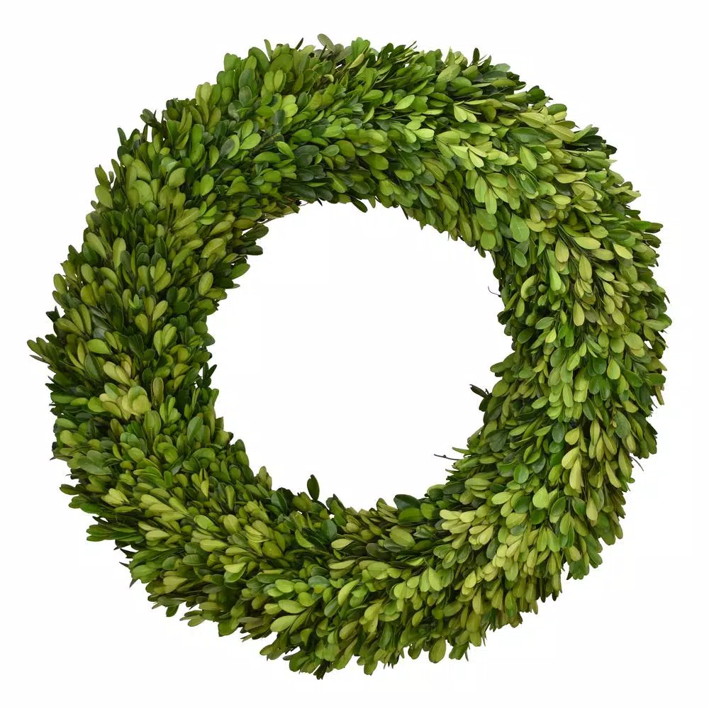 Unbranded 24 in. Preserved Boxwood Wreath - Classic Farmhouse Greenery