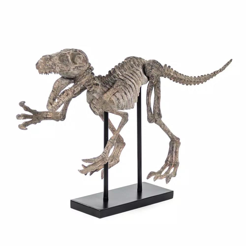 Zentique Velociraptor Skeleton Polyresin Statuary with Metal Base - Distressed Brown/Grey
