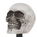Home Accents Holiday 14.5 in. LED Scary Skull Pathway Markers with Sound and Timer (4-Pack) thumbnail 3
