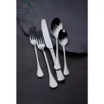 Oneida Puccini 18/10 Stainless Steel Salad and Dessert Forks, 12-Piece Set thumbnail 4