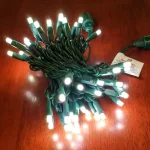HOLIDYNAMICS HOLIDAY LIGHTING SOLUTIONS 50-Light RGB LED String Lights, 5 mm Frosted Bulbs, 4 in. Spacing, Green Cord thumbnail 2