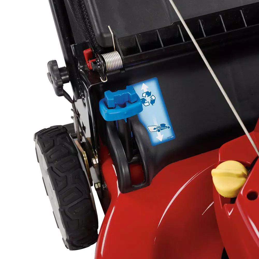 Toro Recycler 22 in. All-Wheel Drive Personal Pace Variable Speed Gas Self-Propelled Mower with Briggs and Stratton Engine