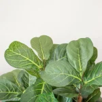 Nearly Natural 7 ft. Fiddle Leaf Fig Artificial Tree with Multiple Trunks and Black Pot thumbnail 4