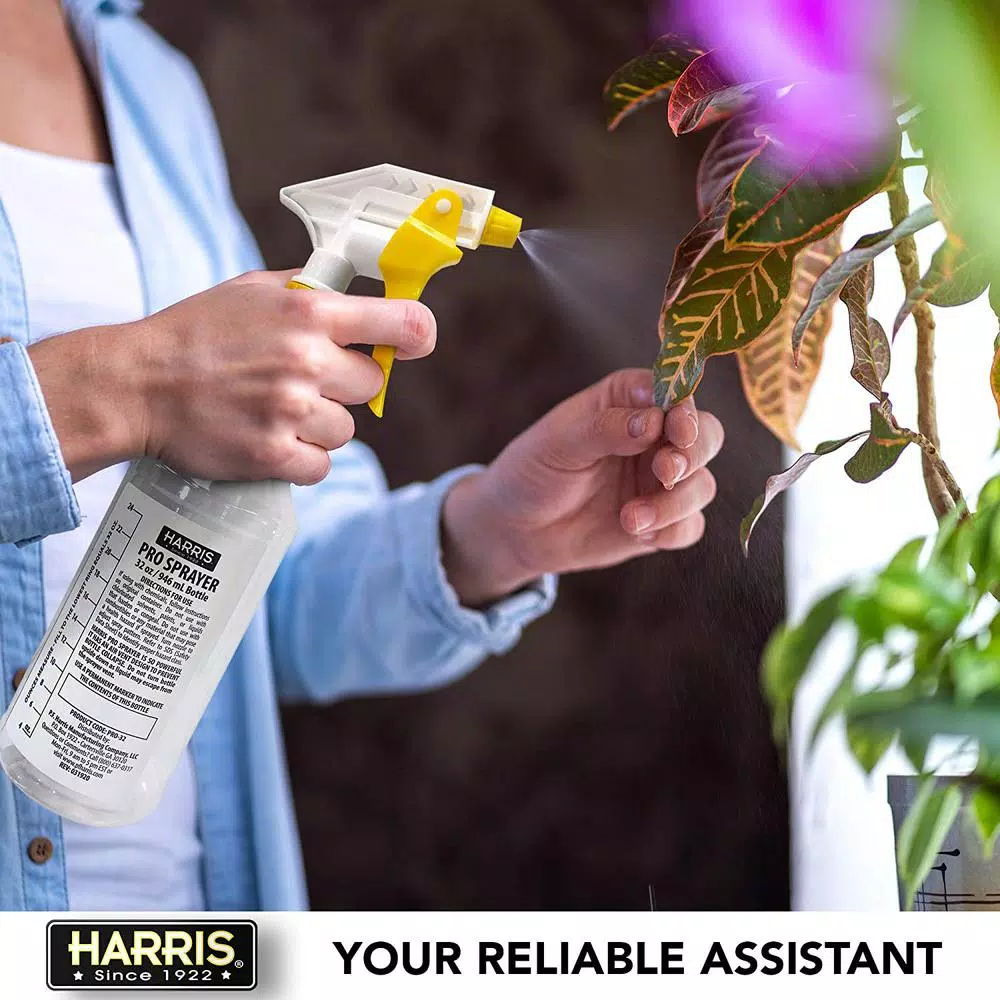 Harris 30% Cleaning Vinegar Concentrate 2-Pack (256 oz) with 32 oz Professional Spray Bottle