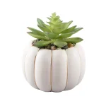 Flora Bunda 5 in. Fall Harvest Artificial Green Succulent in Cream Ceramic Pumpkin Pot with Gold Line thumbnail 1