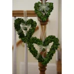 Unbranded Set of 3 Preserved Boxwood Heart Wreaths with Ivory Ribbon thumbnail 1