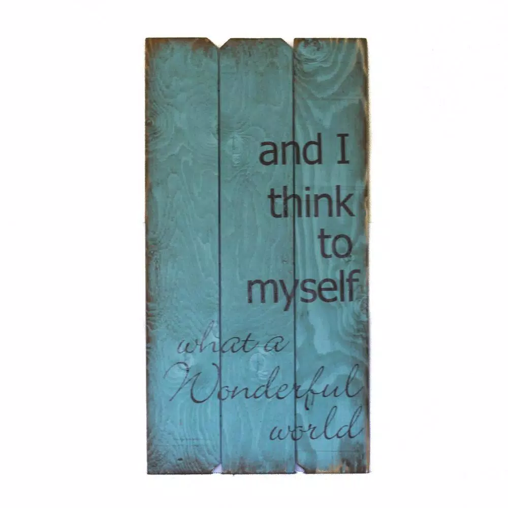 Unbranded Boulder Innovations Wonderful World 18 in. x 36 in. Wood Wall Art Sign