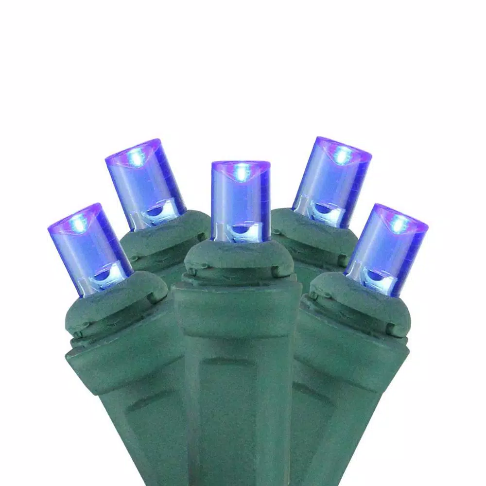 Sienna 4 ft. x 6 ft. Blue LED Net Style Christmas Lights with Green Wire, 150 Wide Angle Bulbs