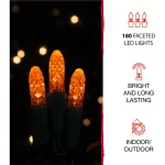 Haunted Hill Farm Happy Jack-O-Lantern LED Halloween Light, Indoor/Outdoor Pumpkin Decor thumbnail 4