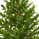 Nearly Natural 35-In. Artificial Olive Cone Topiary Tree in Terra Cotta Planter, UV-Resistant Indoor/Outdoor Decor thumbnail 2