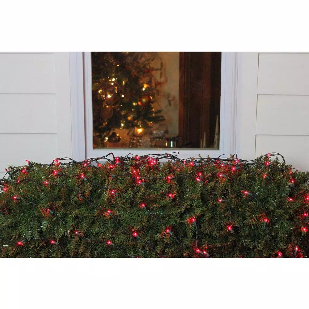 Northlight 4 ft. x 6 ft. Red Mini Net Style Christmas Lights with Green Wire, 150 Bulbs