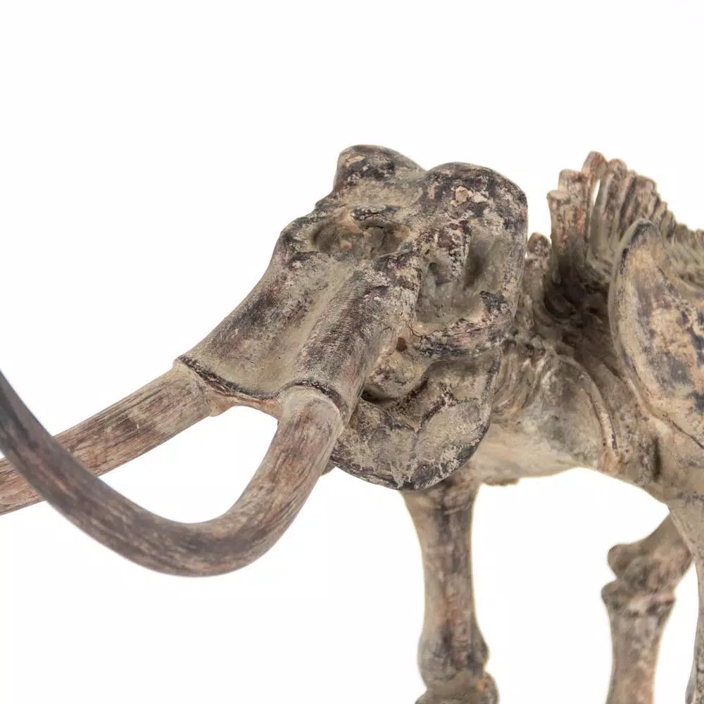 Zentique Polyreson Cast Distressed Brown/Grey Mammoth Skeleton Statuette