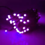 HOLIDYNAMICS HOLIDAY LIGHTING SOLUTIONS 50-Light RGB LED String Lights, 5 mm Frosted Bulbs, 4 in. Spacing, Green Cord thumbnail 4