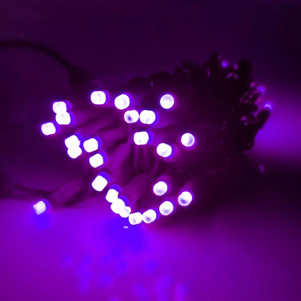 HOLIDYNAMICS HOLIDAY LIGHTING SOLUTIONS 50-Light RGB LED String Lights, 5 mm Frosted Bulbs, 4 in. Spacing, Green Cord