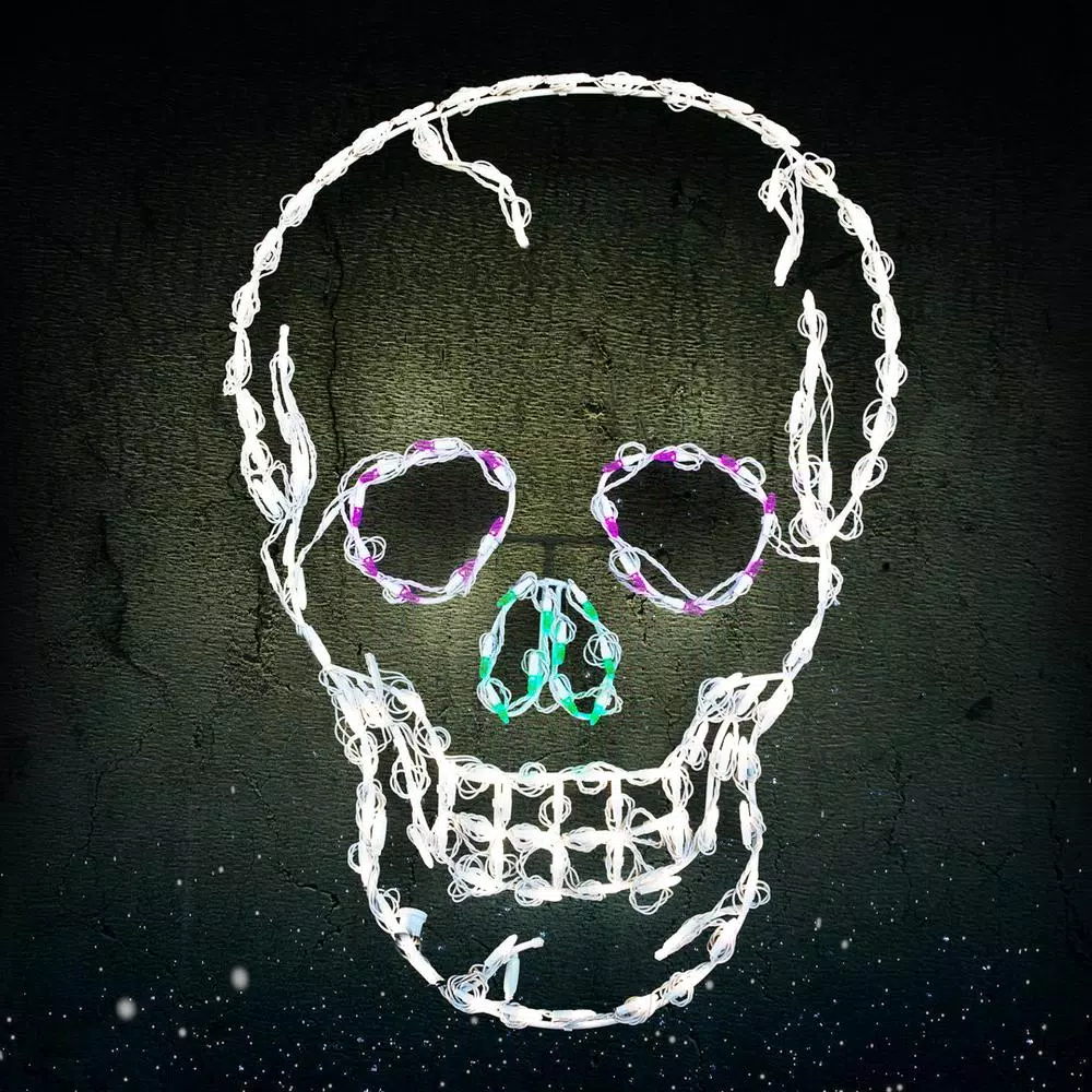 HOLIDYNAMICS HOLIDAY LIGHTING SOLUTIONS 37 in. Lighted LED Skull Halloween Sculpture - Multi-Color Open Wire Frame
