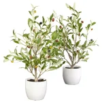 Nearly Natural 18 in. Green Olive Silk Tree with White Vase (Set of 2) thumbnail 1