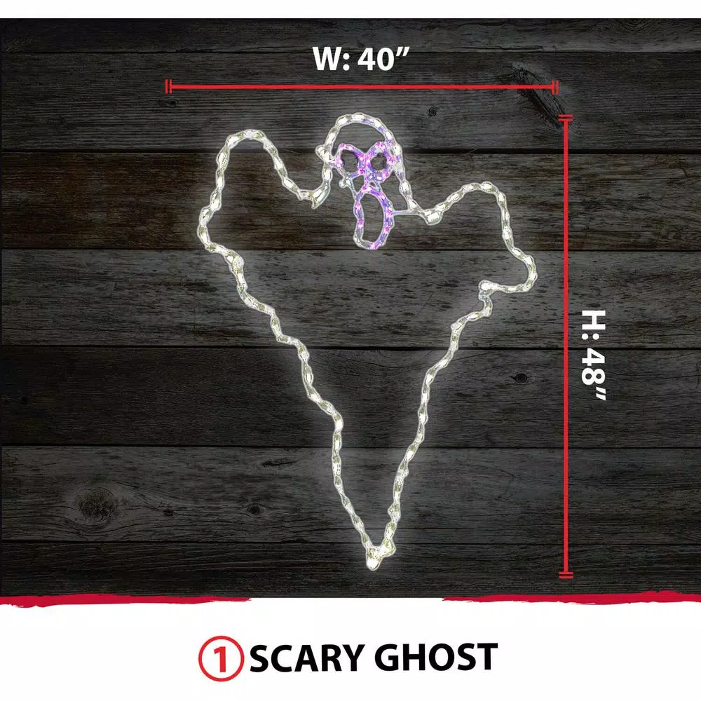 Haunted Hill Farm 48 in. x 40 in. Scary Ghost LED Halloween Indoor/Outdoor Light