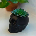 Flora Bunda 4.5 in. x 3.5 in. Artificial Succulent in Matte Black Ceramic Sugar Skull Planter thumbnail 3