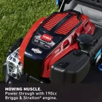 Toro 21 in. Super Recycler Personal Pace Self-Propelled Mower with 190cc Briggs & Stratton Engine thumbnail 10