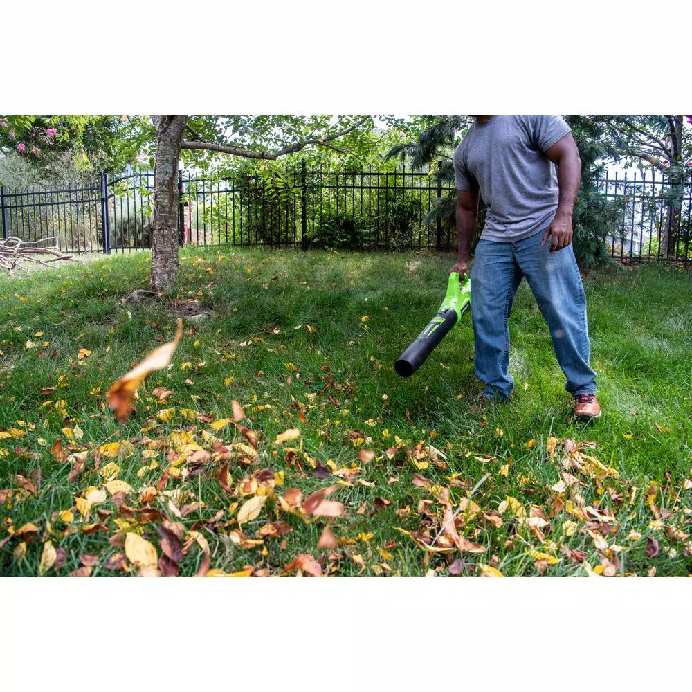 Greenworks 24V Cordless Handheld Leaf Blower, 320 CFM, 90 MPH, Tool Only