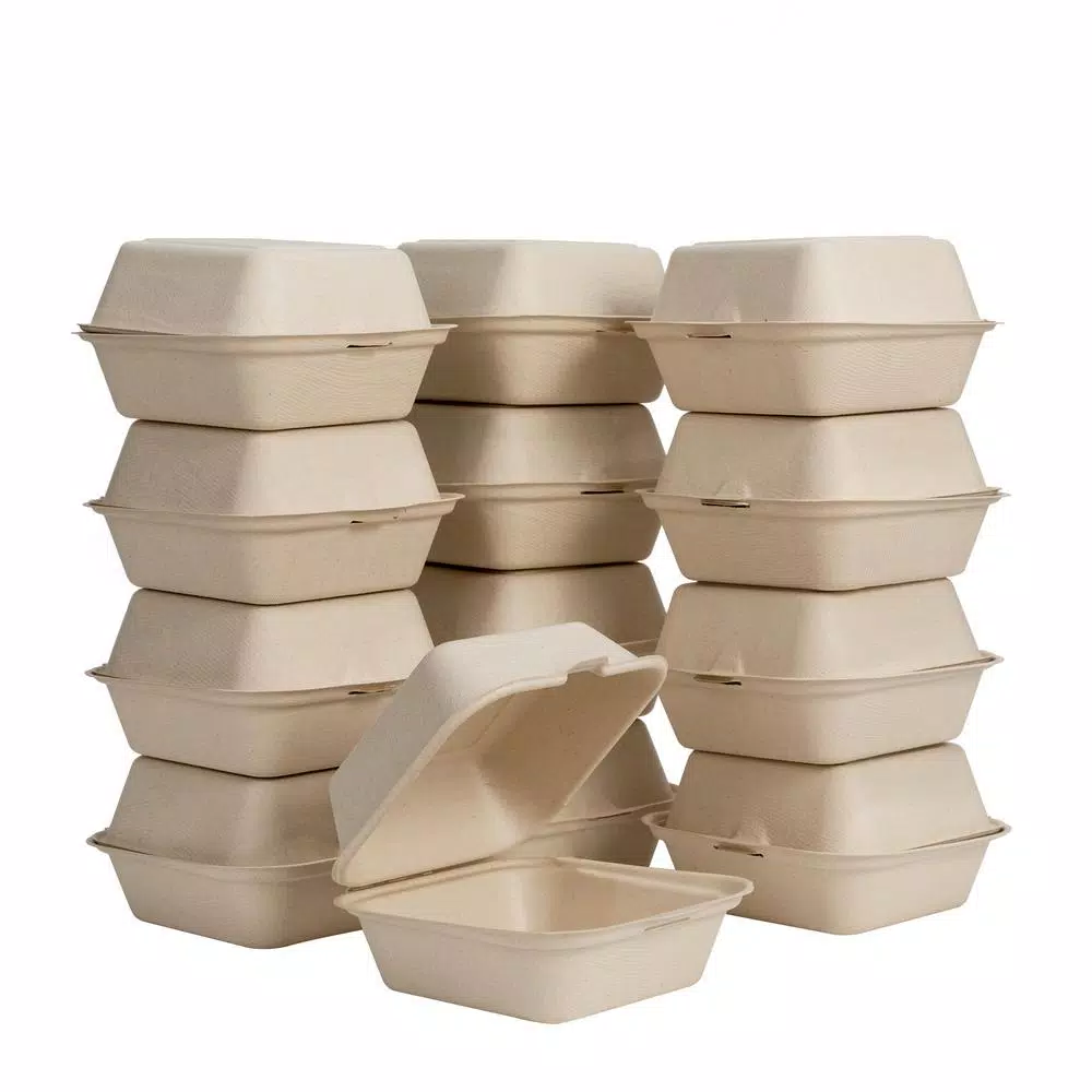 Unbranded 6 in. White Sugarcane Clamshell Containers, Compostable & Eco-Friendly (300 Pack)