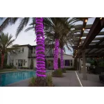 DEERPORT DECOR 16 ft. 108-Light Purple LED Rope Light, 360° Continuous Shine, Indoor/Outdoor Weather Resistant thumbnail 4