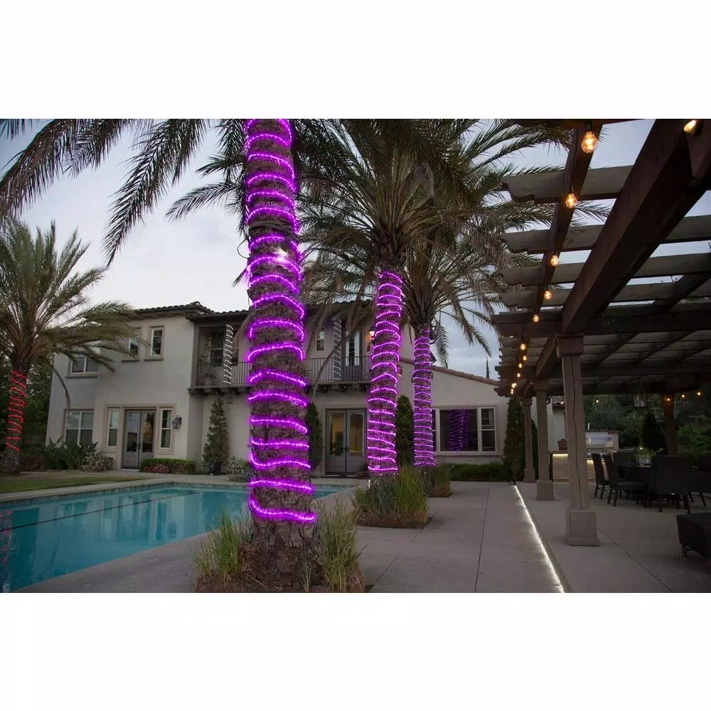 DEERPORT DECOR 16 ft. 108-Light Purple LED Rope Light, 360° Continuous Shine, Indoor/Outdoor Weather Resistant