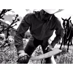 Gerber Broadcut 13.1 in. Stainless Steel Machete with Hook and Cut Notch thumbnail 4