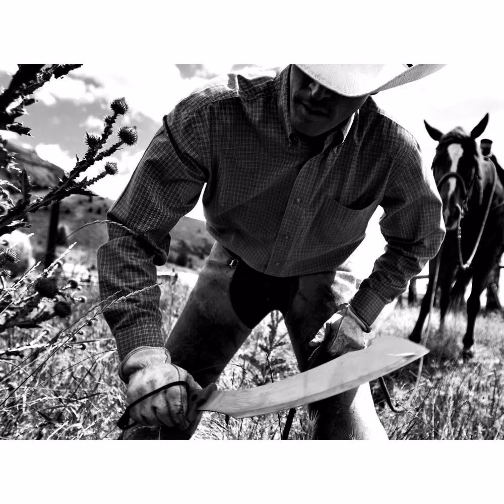 Gerber Broadcut 13.1 in. Stainless Steel Machete with Hook and Cut Notch
